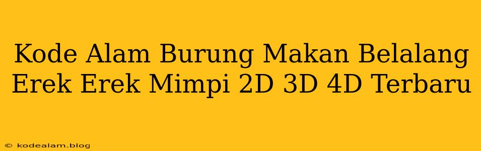 Kode Alam Burung Makan Belalang Erek Erek Mimpi 2D 3D 4D Terbaru