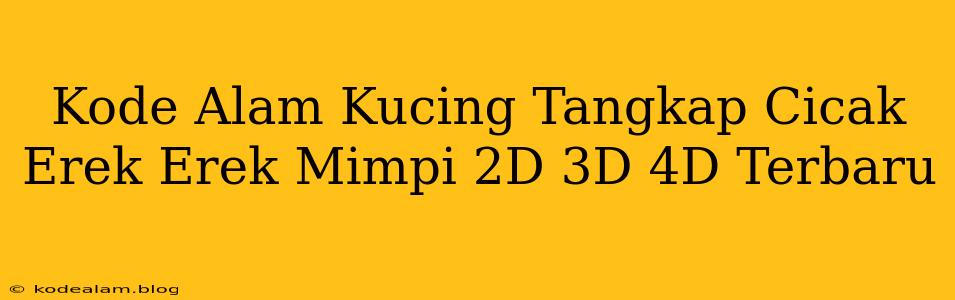 Kode Alam Kucing Tangkap Cicak Erek Erek Mimpi 2D 3D 4D Terbaru