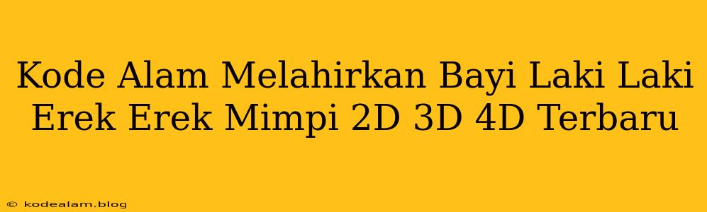 Kode Alam Melahirkan Bayi Laki Laki Erek Erek Mimpi 2D 3D 4D Terbaru