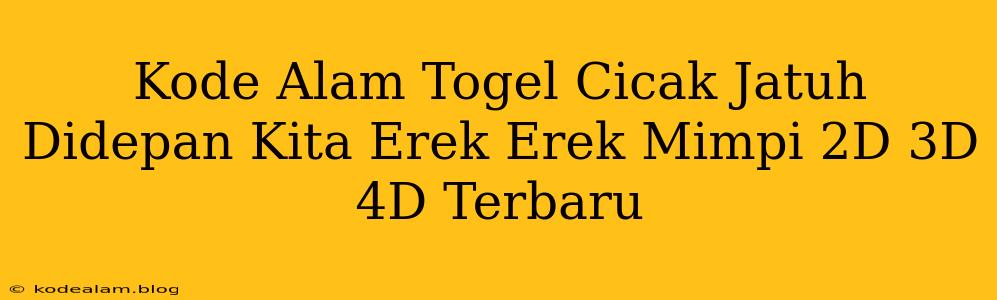 Kode Alam Togel Cicak Jatuh Didepan Kita Erek Erek Mimpi 2D 3D 4D Terbaru
