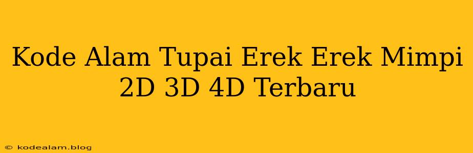 Kode Alam Tupai Erek Erek Mimpi 2D 3D 4D Terbaru