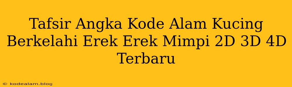 Tafsir Angka Kode Alam Kucing Berkelahi Erek Erek Mimpi 2D 3D 4D Terbaru